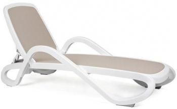 белый, тортора