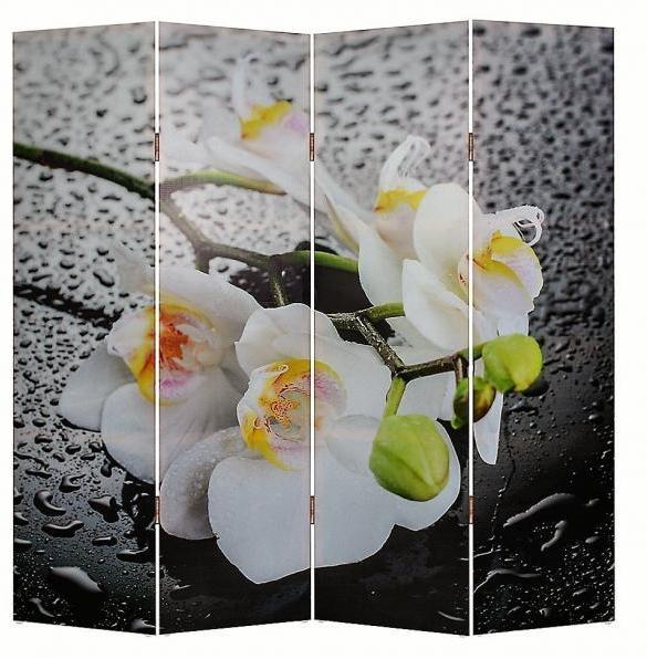 Рисунок (Белая орхидея и капли)