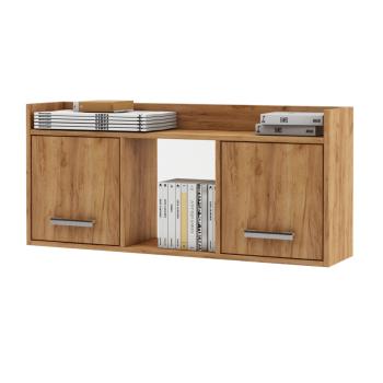 Дуб золотистый