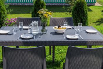 Обеденный комплект ROYAL FAMILY JULY M