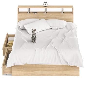 Кровать с ящиками СВК Камелия 1600