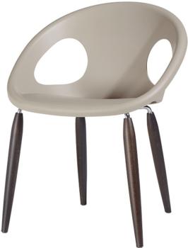 Венге, тортора