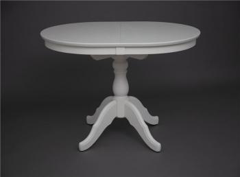 слоновая кость 9001