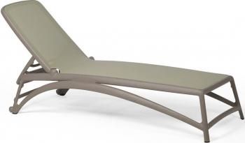 Тортора, агава