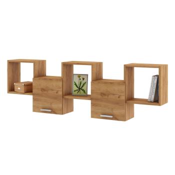 Дуб золотистый