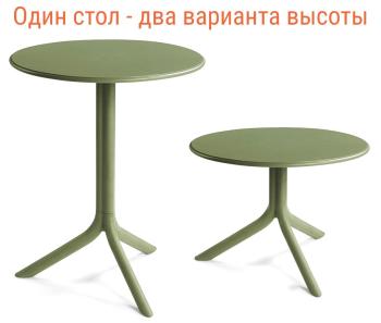Агава