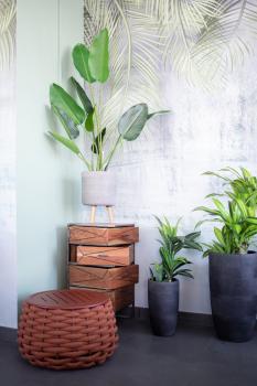 Пуф-столик плетеный с подушкой Tagliamento Pouf Ø670