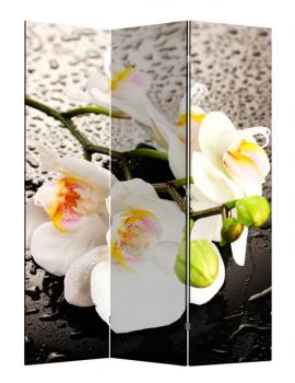Ширма RB 1111-3 Белая орхидея и капли (3 панели)