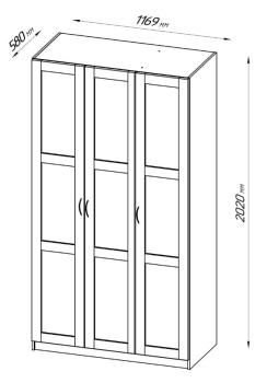 Шкаф Гуд Лакк Пегас (3 двери сборные)