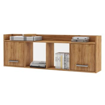 Дуб золотистый