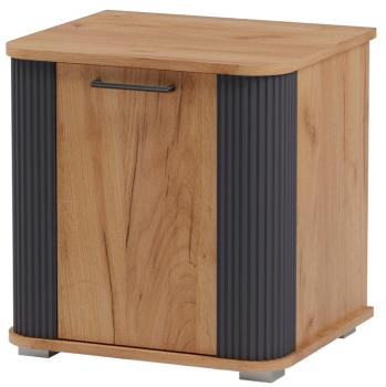 Дуб золотистый/Антрацит