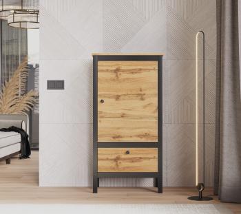 Шкаф БРВ Мебель LOFT REG1D1S/60