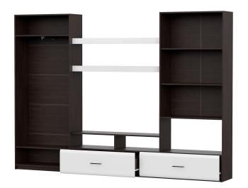 Стенка в гостиную Арника Токио