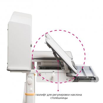 Парта FUN DESK FIORE II (1+1+1)