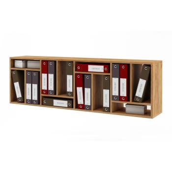 Дуб золотистый