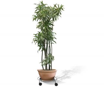 Подцветочница Sheffilton Пальмина 3