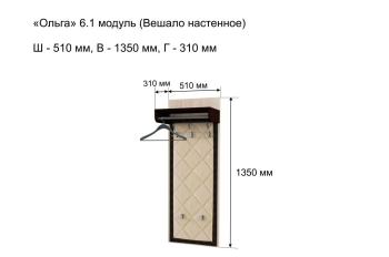 Прихожая  Ольга-лофт 6.1