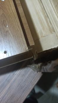 Стенка Прага-2 таксония / диамант серый (У)