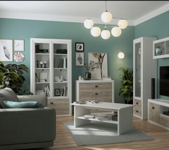 Шкаф БРВ Мебель КОЕН REG2W2S