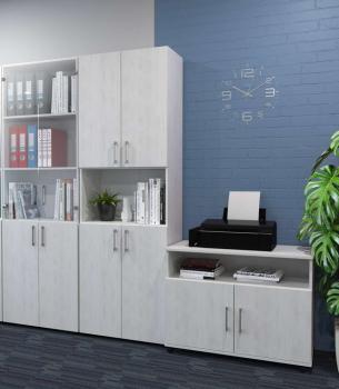 северное дерево светлое