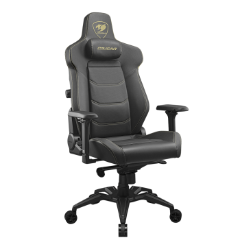 Черный/Золотой