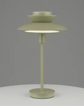 Лампа настольная Moderli V11296-1T Shaggy