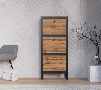 Тумба для обуви БРВ Мебель LOFT SFB3B/50