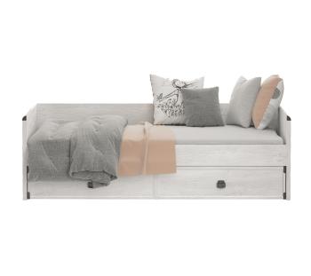 Сосна каньйон