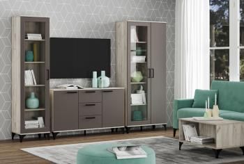 Шкаф комбинированный Сильва