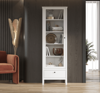 Шкаф БРВ Мебель EWA REG1W1S/65