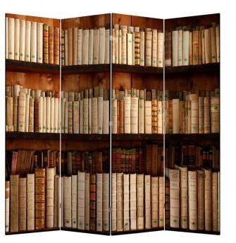 Рисунок (библиотека)