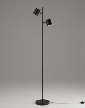 Торшер Moderli V11287-2F Asheswood